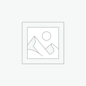 Elegant Lace Bodysuit